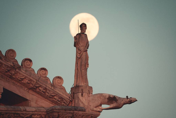 ピサのミラクル広場に月と大聖堂の屋根の上の像彫刻イタリア. - 写真・画像