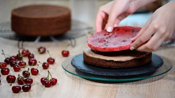 Preparing making chocolate cake with cherries. - Filmati, video
