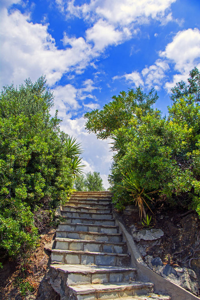 Old stone staircase to the top among green trees with blue cloudy sky at background - Photo, image