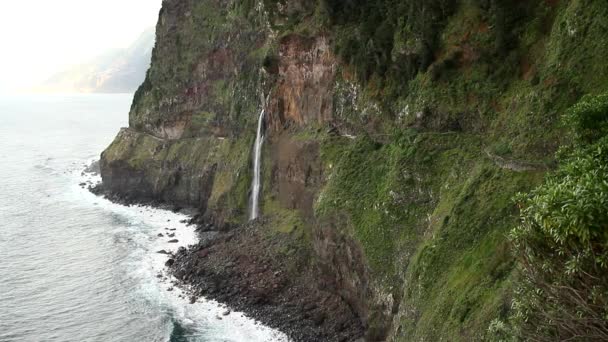 Vista su Madeira - natura bellissima e accogliente sull'isola portoghese. Portogallo autonomia Madeira. Isola tropicale nell'Oceano Atlantico
.  - Filmati, video