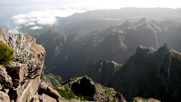 Vista de Madeira - hermosa y acogedora naturaleza en la isla portuguesa. Portugal autonomía Madeira. Isla tropical en el océano Atlántico
.  - Metraje, vídeo