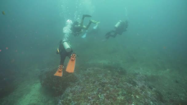 Víz alatti búvárok. Fülöp-szigetek, Mindoro. - Felvétel, videó