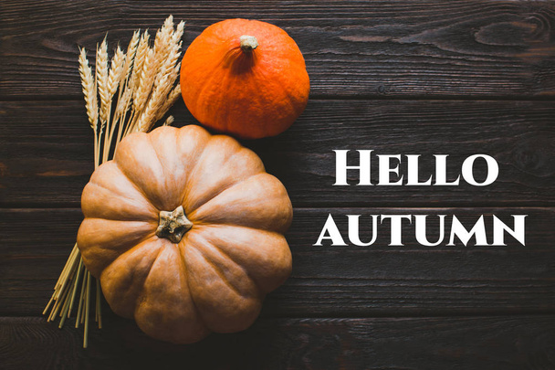 Witam jesień, banner, dyni i pszenicy na podłoże drewniane - Zdjęcie, obraz