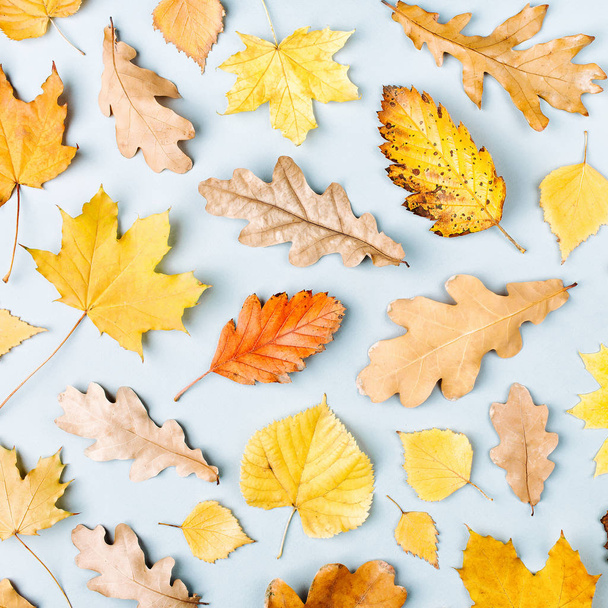 Autumn composition. Pattern made of autumn  leaves. Flat lay, top view, copy space - Фото, зображення