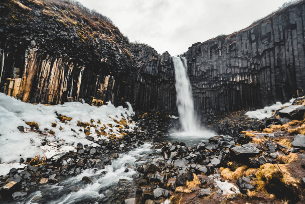 Dramatic morning view of famous Svartifoss Black Fall Waterfall. Colorful summer sunrise in Skaftafell, Vatnajokull National Park, Iceland, Europe. Artistic style post processed photo. - 写真・画像