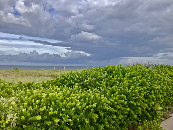 шторм за пляжними дюнами
 - Фото, зображення