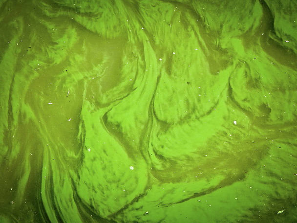 algen bloei veroorzaakt groene water en mooie patroon - Foto, afbeelding