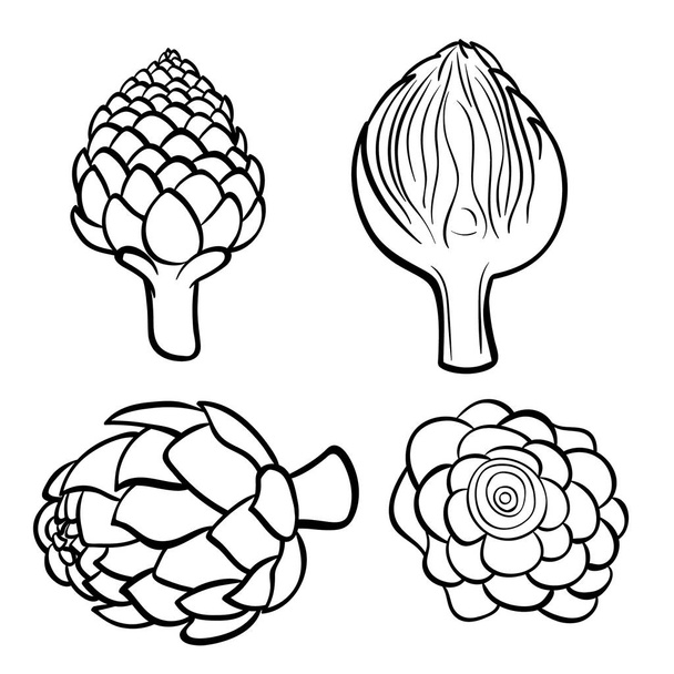 Vector hand drawn illustration of artichoke. Outline doodle icon. Food sketch for print, web, mobile and infographics. Isolated on white background element. Set - ベクター画像