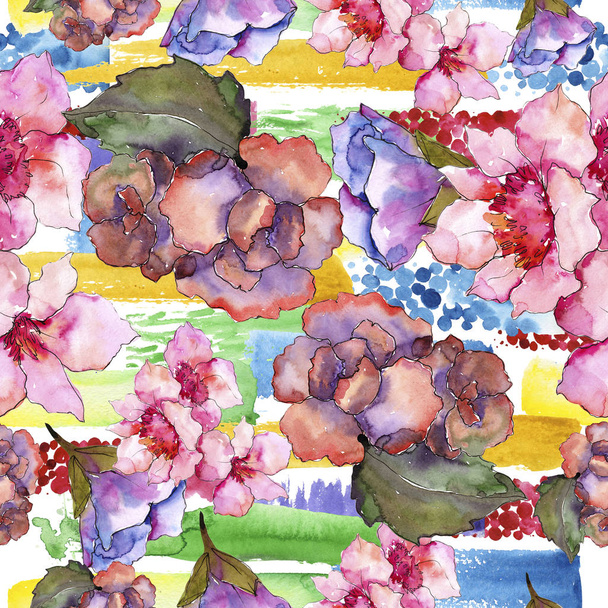 Gardania ροζ και μοβ. Floral βοτανικό λουλούδι. Απρόσκοπτη υπόβαθρο μοτίβο. - Φωτογραφία, εικόνα