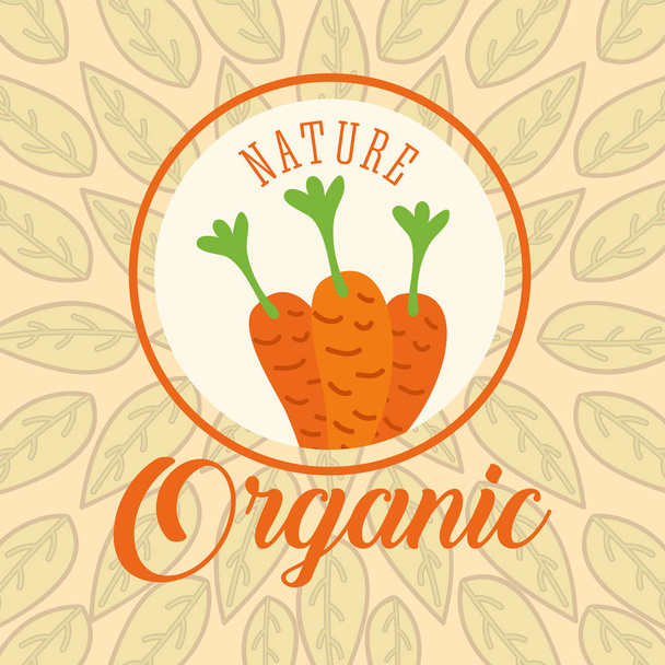 élelmiszer organikus természet - Vektor, kép