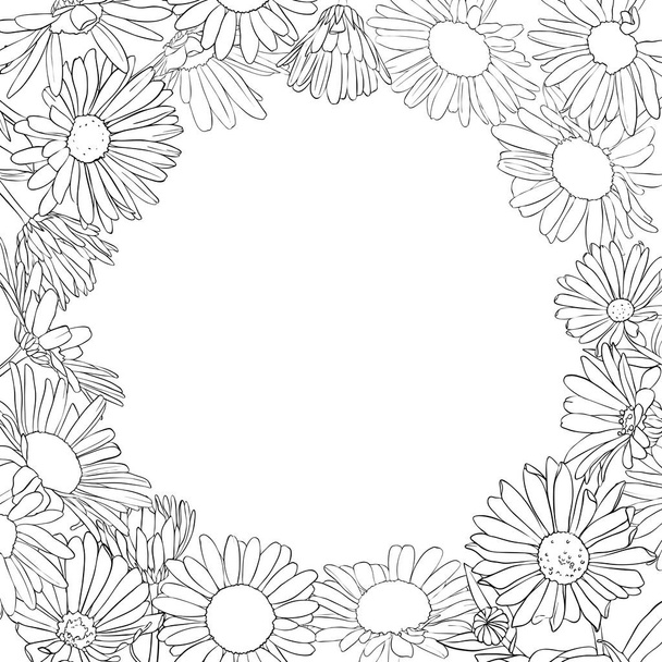 vector frame with drawing daisy flowers - Vektör, Görsel