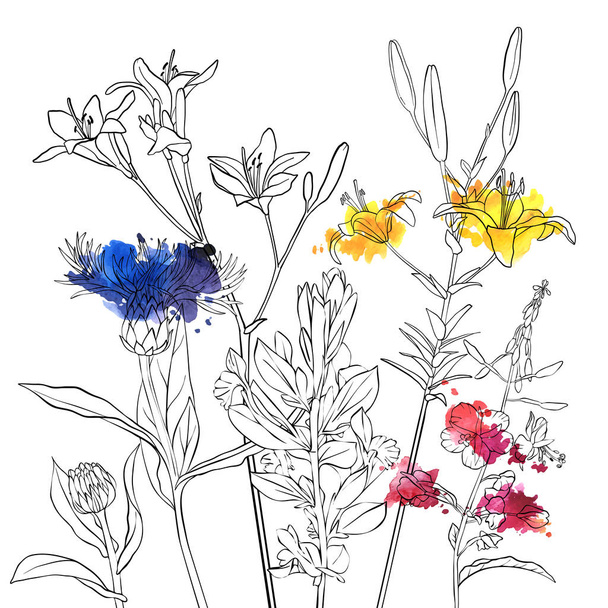 vector drawing flowers - Vector, Imagen