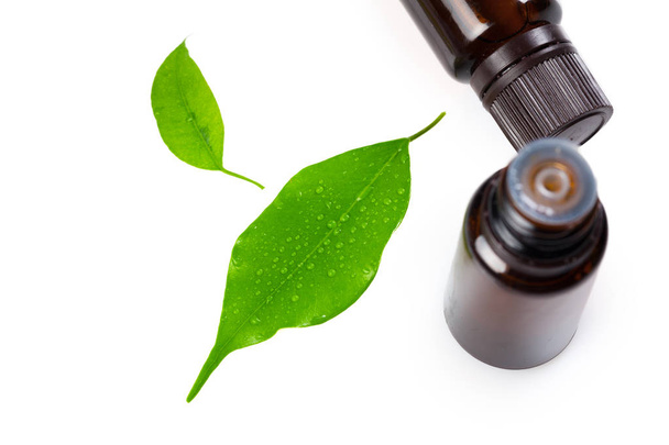 spa oil and leaf close up  - Photo, Image
