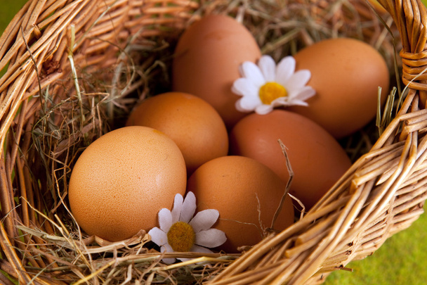 Яйца в корзине
 - Фото, изображение