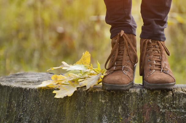 切り株、黄色葉に茶色の女性靴。秋のコンセプト - 写真・画像