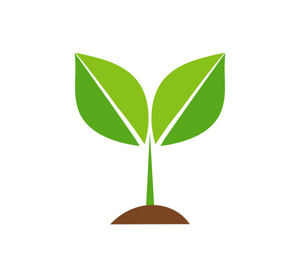 Icono de planta de primavera. Ilustración vectorial
 - Vector, imagen