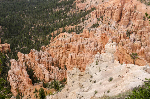 táj a bryce Canyon, Amerikai Egyesült Államok - Fotó, kép