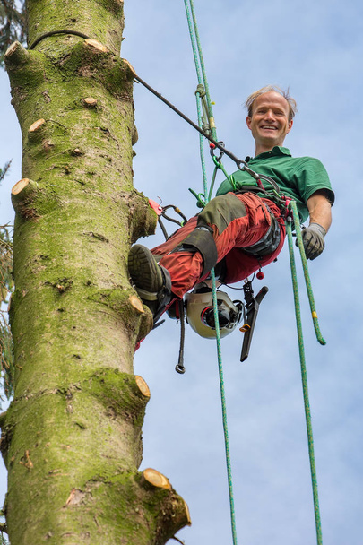 Caucasian tree surgeon climbing with climbing equipment in tree without branches - Photo, Image