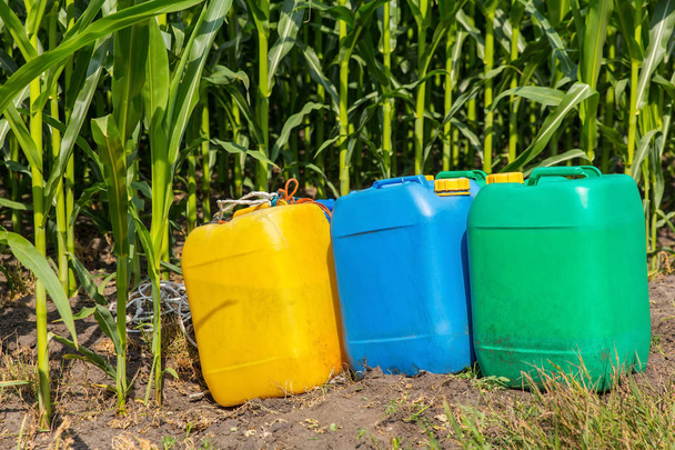 Pesticides in colored jerry cans at corn field with plants - Photo, Image