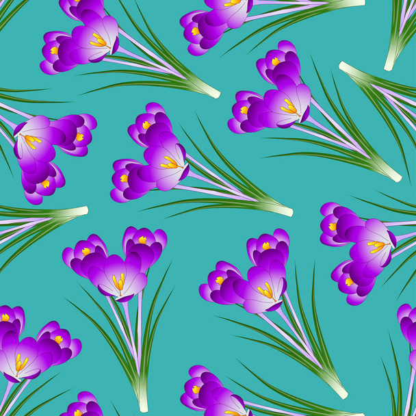 Purple Crocus Flower on Green Teal Background. Vector Illustration. - Vector, Image