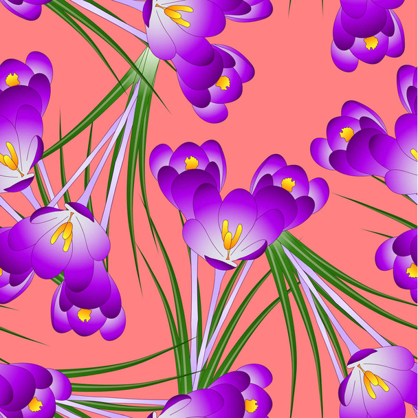 Пурпурна квітка Крокус на помаранчевий червоному тлі. Векторні ілюстрації. - Вектор, зображення