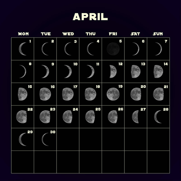 Kalendarz faz księżyca na 2019 z realistyczny księżyc. Kwietnia. Wektor. - Wektor, obraz