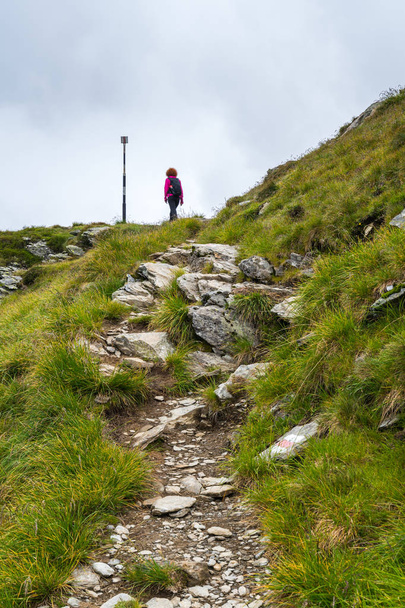 Caucasian woman hiker with backpack walking a trail in rocky mountains - Foto, Imagem