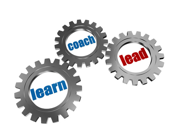 learn, coach and lead in silver grey gearwheels - Photo, Image
