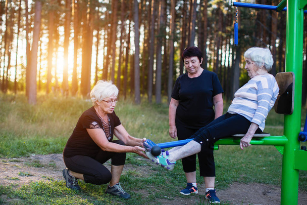 Starsza kobieta na symulatorze sportowych w parku, dwóch dorosłych kobiet potrafiłby zrobić ćwiczenia. Centrum odnowy biologicznej i rehabilitacji. - Zdjęcie, obraz