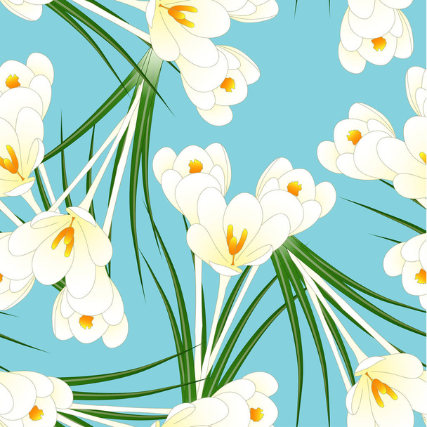 Witte Crocus bloem op lichte blauwe achtergrond. Vectorillustratie. - Vector, afbeelding