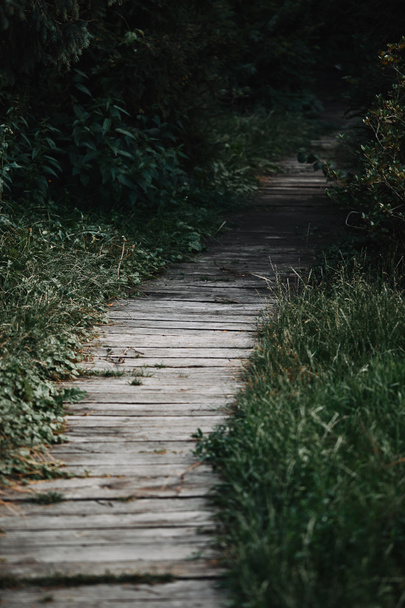 selective focus of wooden path between green grass in park  - Φωτογραφία, εικόνα