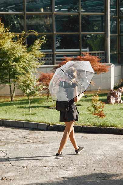 vista trasera de la mujer caminando con paraguas transparente en el parque de verano
  - Foto, imagen