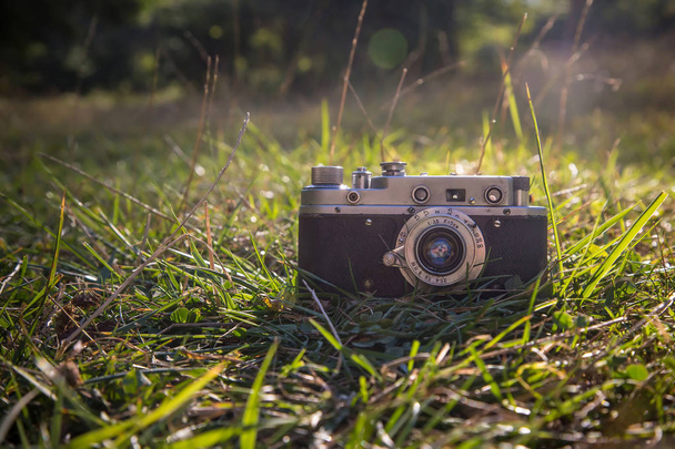 Çim zemin üzerine vintage fotoğraf makinesi - Fotoğraf, Görsel