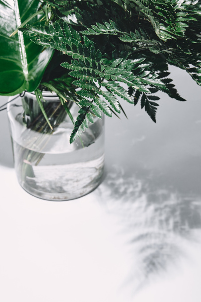 plan rapproché de bouquet de diverses feuilles vertes dans un vase en verre sur blanc
 - Photo, image