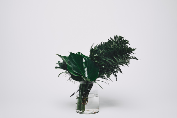 bouquet de diverses feuilles vertes dans un vase en verre isolé sur blanc
 - Photo, image
