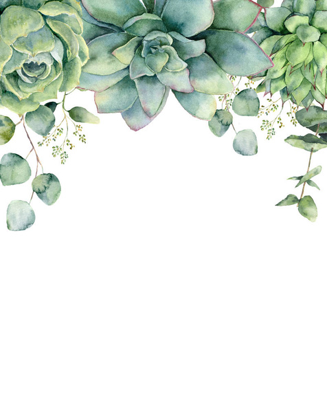 Cartão aquarela com suculentas e folhas de eucalipto. Ramo de eucalipto pintado à mão, suculentas verdes isoladas sobre fundo branco. Ilustração botânica floral para desenho, impressão ou fundo
. - Foto, Imagem