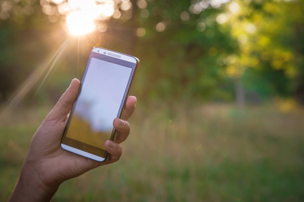 hand houden zwarte slimme telefoon, mobiele telefoon, mobiele over wazig beeld van groene bos achtergrond - Foto, afbeelding