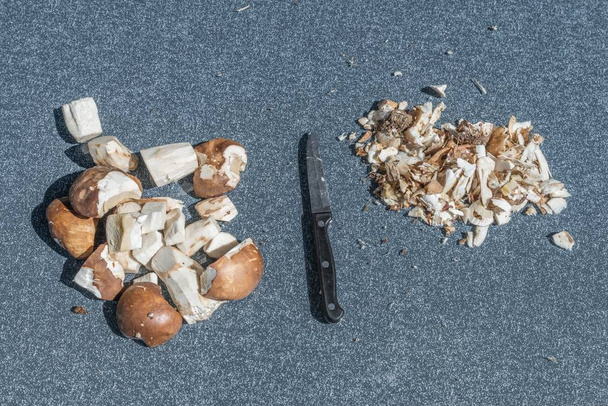 Freshly collected porcini mushrooms are cleaned and cut into slices, Germany - Photo, Image