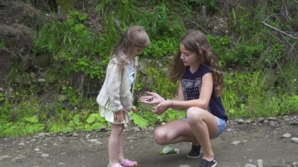 Schmetterlingsmädchen zeigt jüngere Schwester - Filmmaterial, Video
