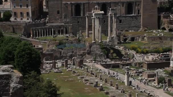 Roman Forum in Rome, Italy. Roman architecture and landmarks. Old and famous attraction of Rome and Italy. - Footage, Video
