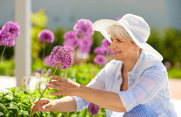 senior woman with allium flowers at summer garden - Фото, изображение