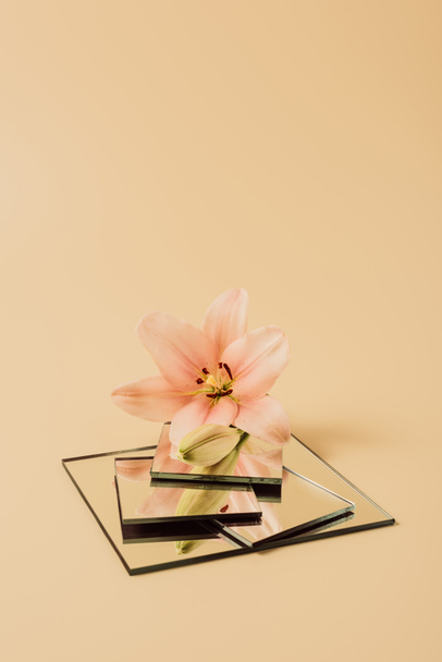 цветок лилии, отражающийся в зеркалах на бежевом столе
 - Фото, изображение