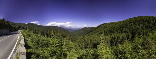 Route asphaltée allant dans les montagnes à travers les forêts de pins
 - Photo, image