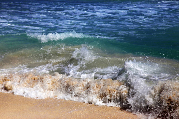 Хвиля аварій на берег. Caribian море - Фото, зображення