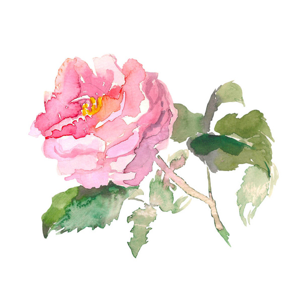 Bouquet with pink roses and green leaves on the white background. Watercolor romantic garden flowers sketch. Card template with message Summer. - Foto, Imagen