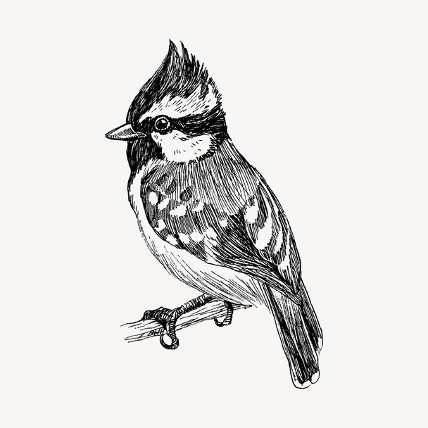 Vector graphic hand drawn bird on retro graphic style. Ink drawing, Vintage style. Cute bird for your design. High detailed sketch - Vecteur, image