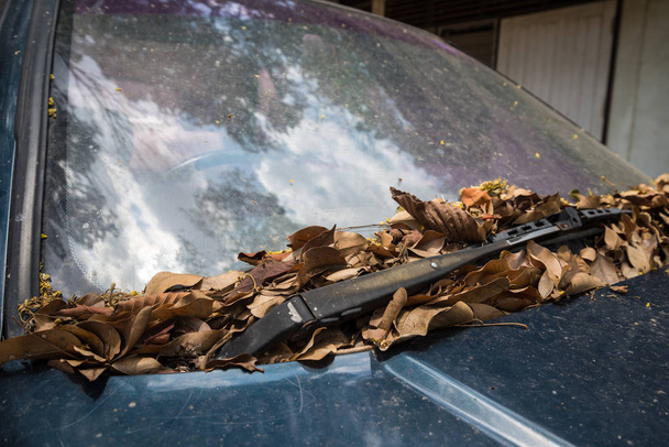 Limpiaparabrisas de coche viejo y un montón de hojas
. - Foto, imagen