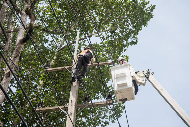 electricistas reparando alambre en poste de energía eléctrica, monos electricistas trabajando en altura y peligroso
 - Foto, Imagen
