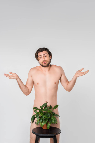 emotional naked man standing behind green plant in flowerpot on chair isolated on grey - Foto, imagen
