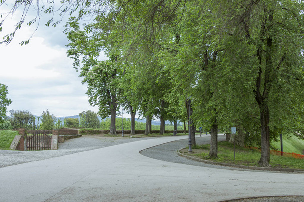 Park auf der historischen begehbaren Stadtmauer der italienischen Stadt Lucca in der Region Pisa - Foto, Bild